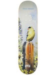 April Kessner Gold Finch Deck 8.25 x 31.91