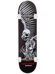 Birdhouse Hawk Full Skull Complete 8.0 x 31.5