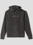 Santa Cruz Screaming Grizzly YOUTH Hoodie