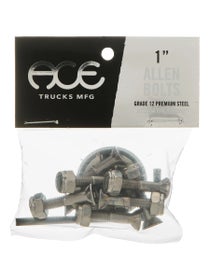 Ace Bolts Allen Hardware Silver
