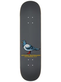 Anti Hero Team Pigeon Grey Deck 8.25 x 31.5