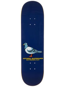 Anti Hero Team Pigeon Navy Deck 8.5 x 31.75