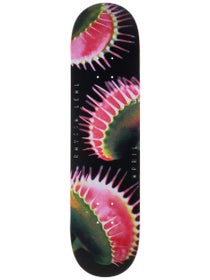 April Rayssa Leal Snappy Deck 8.0 x 31.91