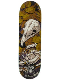 Birdhouse Shawn Hale Tillbrook Deck 9.0 x 32