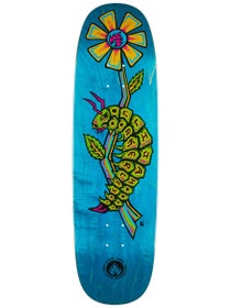 Black Label Akerley Caterpillar Deck 9.0 x 32