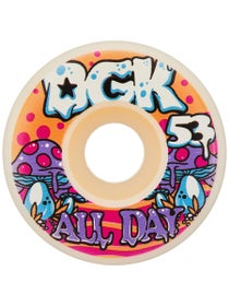 DGK Sunshine Wheels