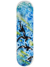GX1000 Greene Killer Whale Deck 8.25 x 32.125