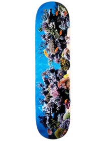Mini Logo Fish Tank 242 Deck 8 x 31.45