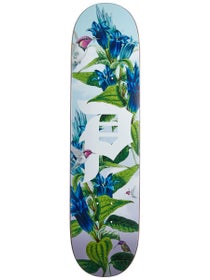 Primitive Dirty P Humming Deck 8.0 x 31.75