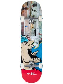 Push Andy Jenkins Guest Complete 8.25 x 32