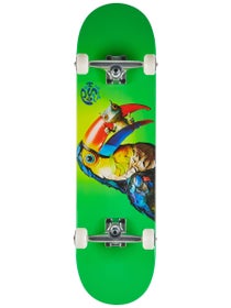 Push Toucan Fade 1st Push Complete 8.25 x 32
