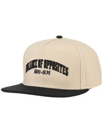 RVCA Foreign Snapback Hat
