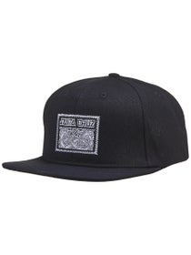 Santa Cruz Dressen Celtic Dogs Hat Black