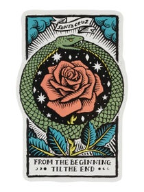 Santa Cruz Delfino Eternal Sticker