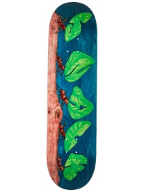 Snack Leafcutter ASSORTED STAIN Deck 8.25 x 32