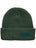 Anti Hero Stock Eagle Label Cuff Beanie Green/Black