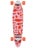 San Clemente Family Pintail Complete 34"