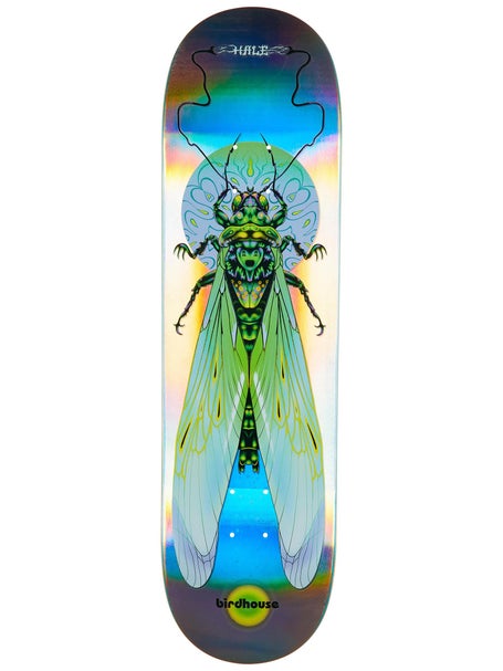 Birdhouse Hale Ilham Insects Deck 8.75 x 32