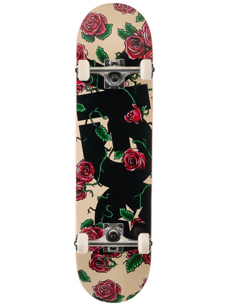 DGK Bloom Sand Complete 8.0 x 31.875