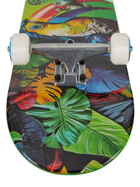 Push Toucan 1st Push Complete 8.0 x 31.6