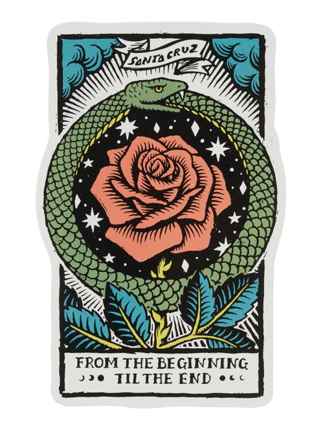 Santa Cruz Delfino Eternal Sticker