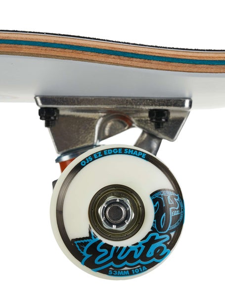 Santa Cruz Screaming Hand Complete 8.25 x 31.8