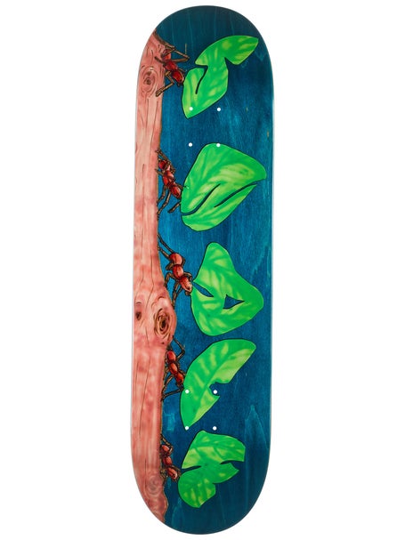 Snack Leafcutter ASSORTED STAIN Deck 8.25 x 32