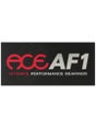 Ace Ultimate Performance Bearings