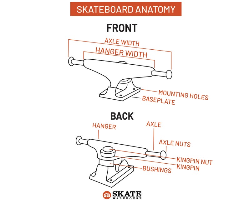Anatomy of a skateboard truck.