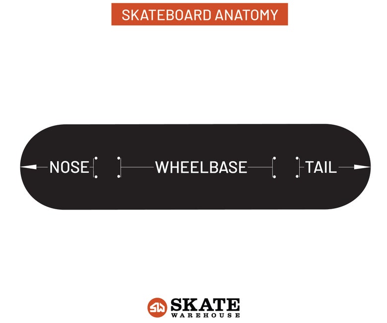 The nose, wheelbase, and tail of a skateboard deck.